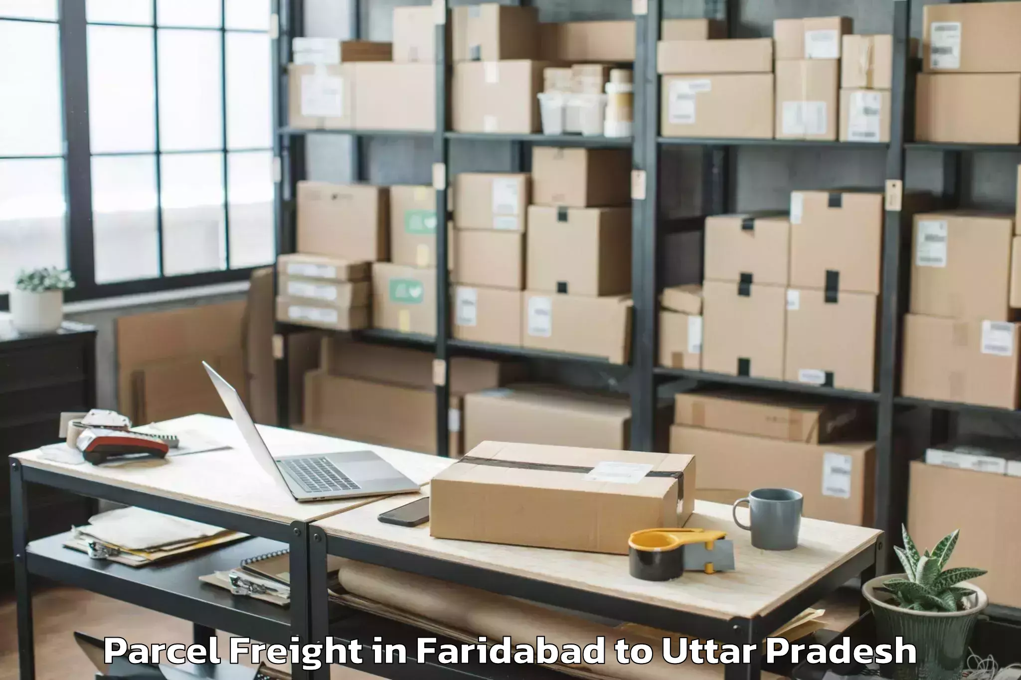 Book Faridabad to Bhongaon Parcel Freight